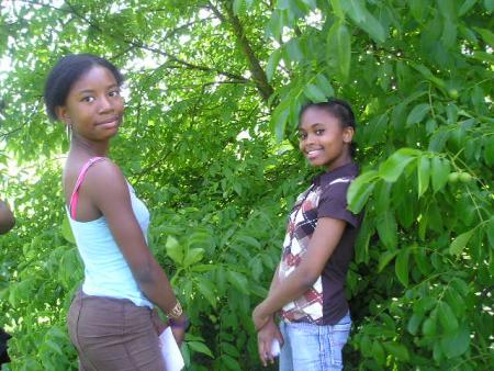  MISS ANEMA  AND DJAM'S